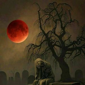 Meet your Posher, Oscar